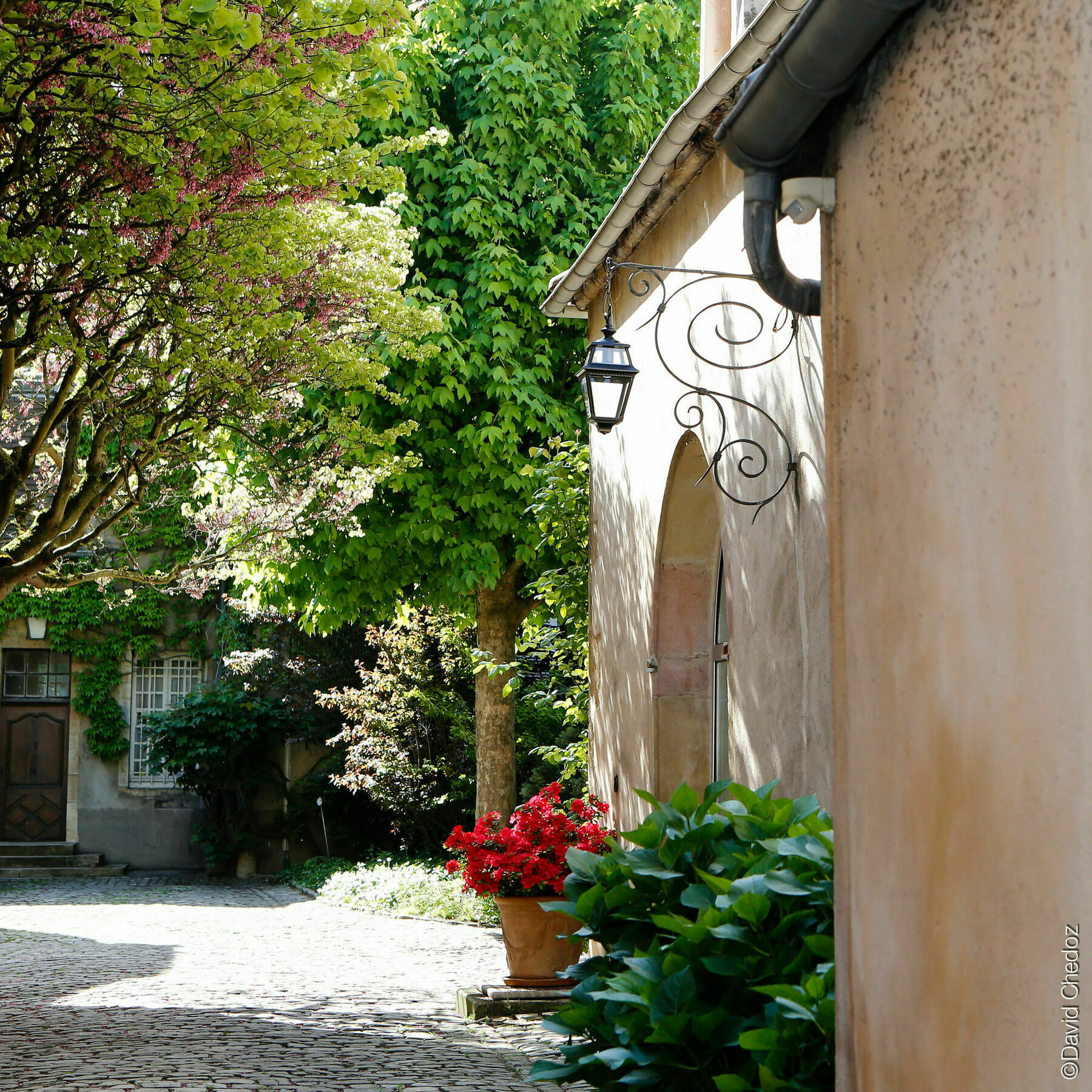 La Cour Berbisey - Teritoria Hotel Dijon Eksteriør billede